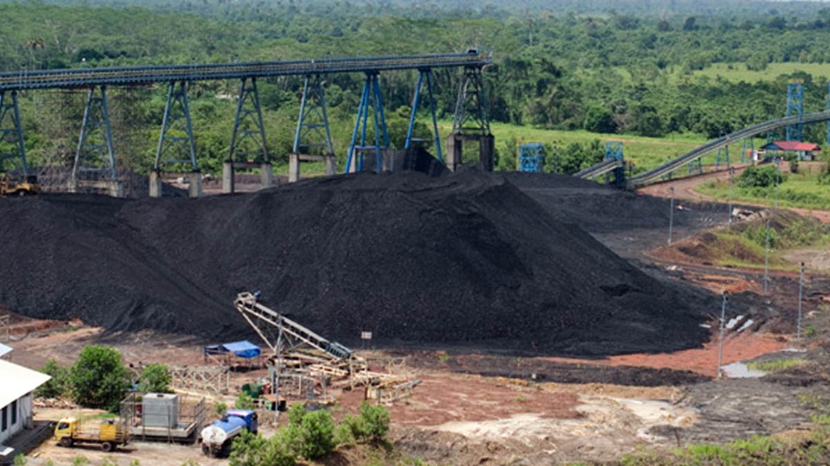 Operasional Tambang dan Coal Processing Plant PT Adimitra Baratama Nusantara